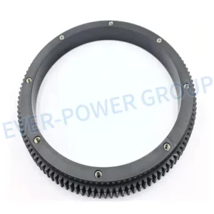 CNC Mold Custom Plastic Black Gear Ring Gear