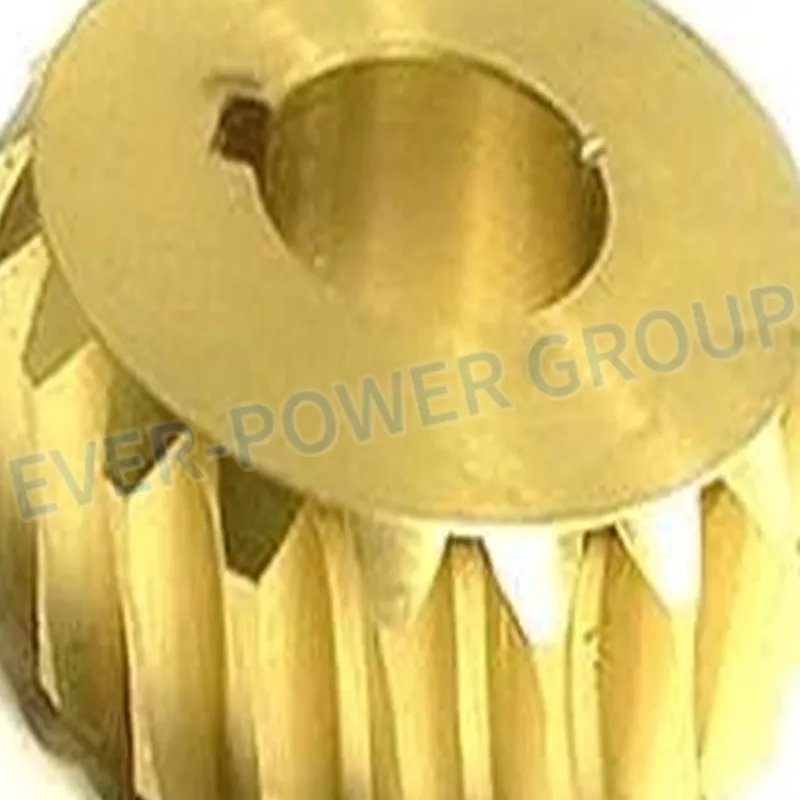 Globoid Worm Gear Wheel Bronze Ground Shaft Plastic Helical Brass Self Locking Supplier Micro Outdoor Ride Car Spare Spur Manufacturer Forklift Globoid Worm