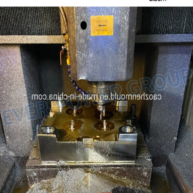 High Quality Plastic Gear Ring Injection Mould From Caozhen