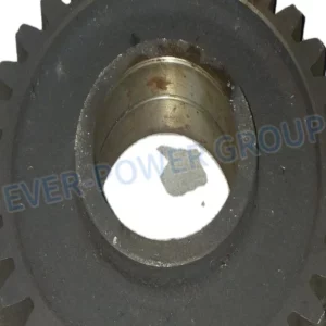 High Temperature Resistant Precision Dimentional Custom Special Engineering Plastic Peek Gear