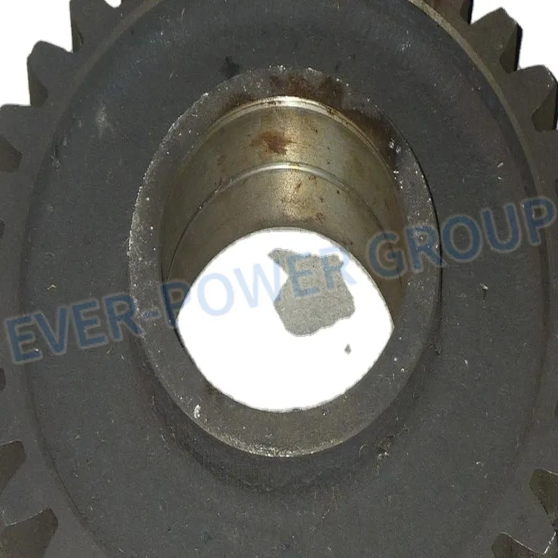 High Temperature Resistant Precision Dimentional Custom Special Engineering Plastic Peek Gear