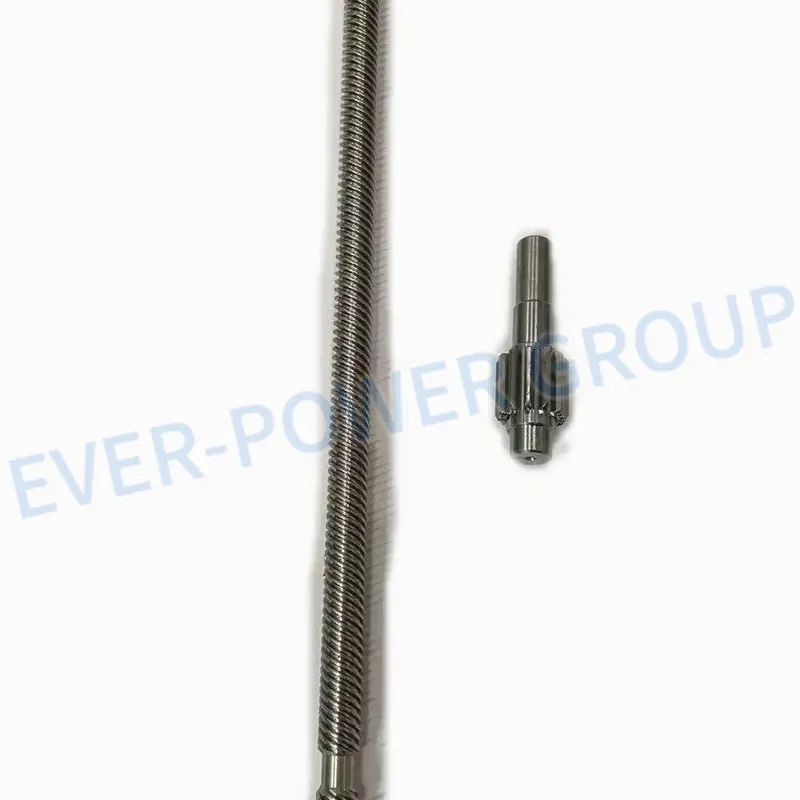 Professional OEM ODM Copper Steel Spur Worm Gear Transmission Worm Gear Shaft Plastic and Metal Transmission Gear