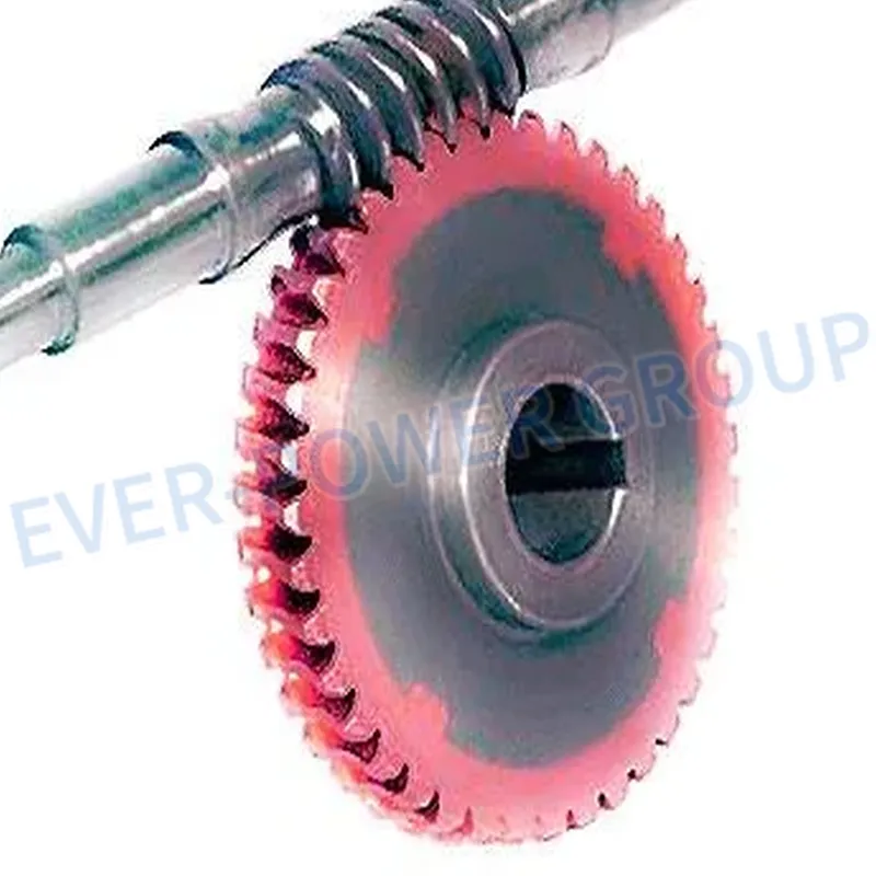 Worm Gear Precision Manual Enveloping Metric Duplex Ground Plastic Helical Brass Self Locking Suppliers Mini Hand Light Weight Slwe Ring Stainless