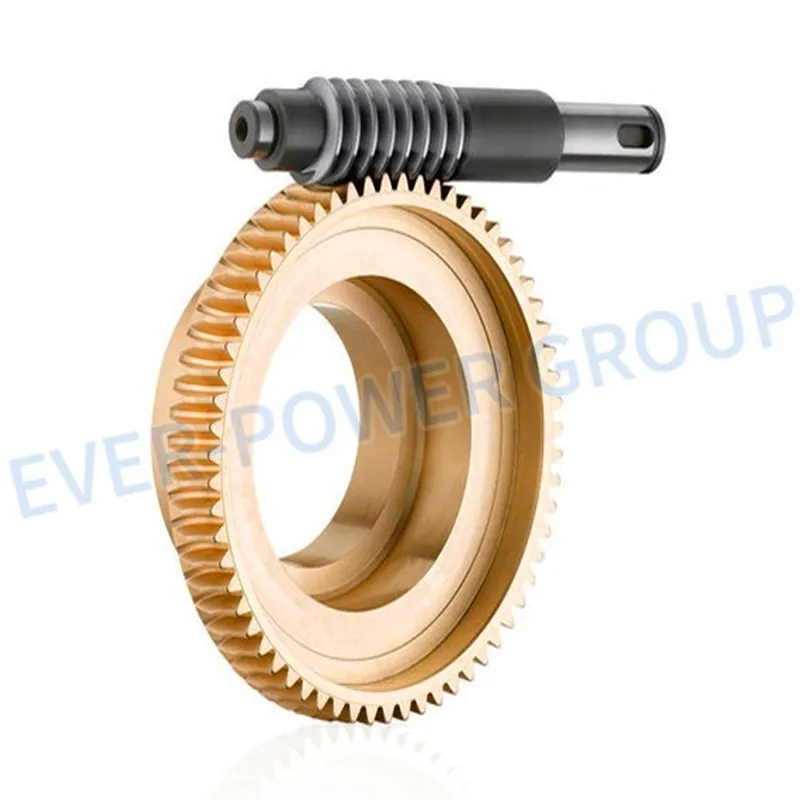 Worm Wheel Manufacturers Steering Gear Enveloping Custom Supplyer Component Double Start Single Globoid Pinion Brass Plastic Micro Delrin Worm Wheel Manufacture